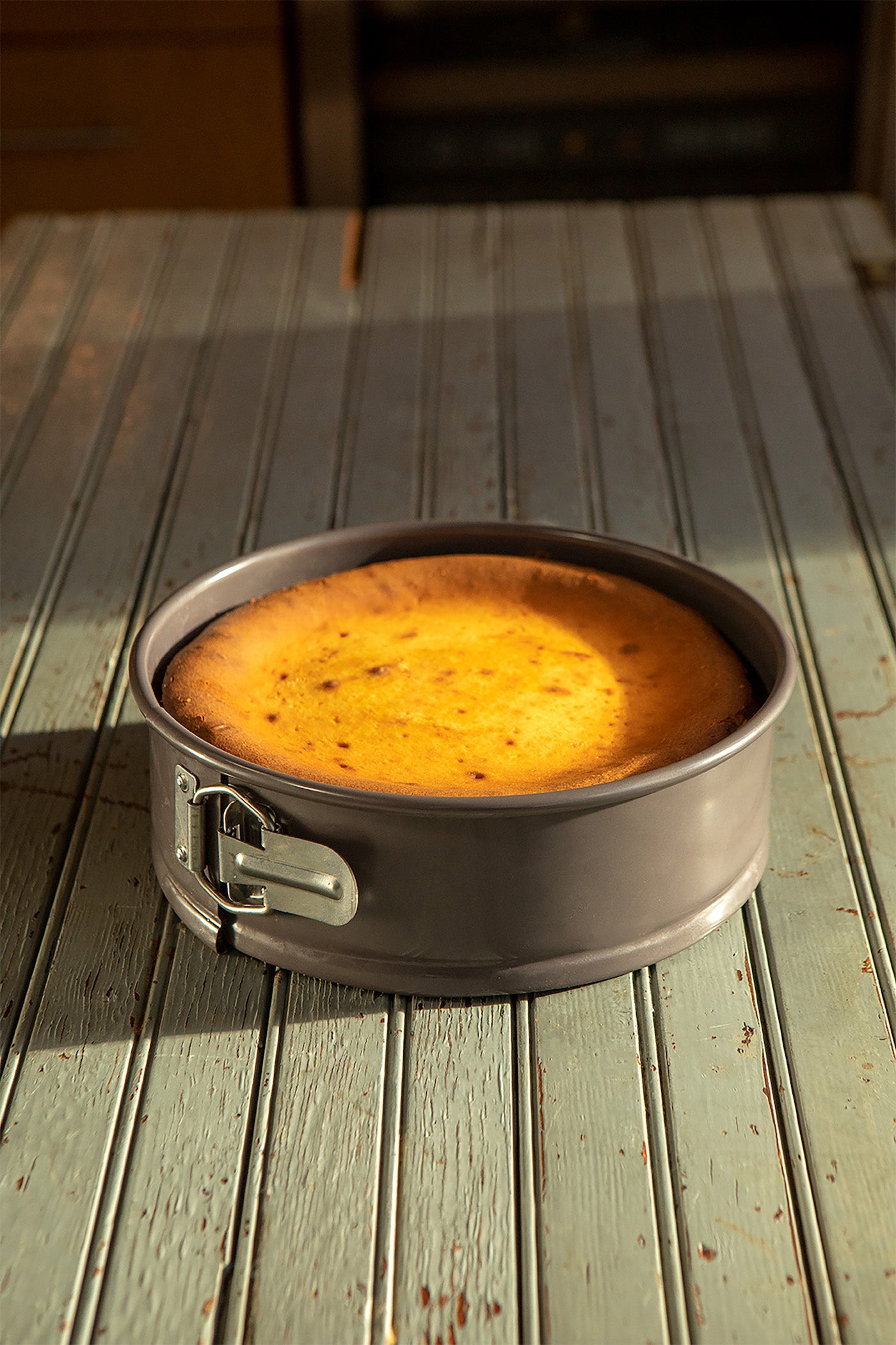 9 Springform Nonstick Cake Pan by Celebrate It™